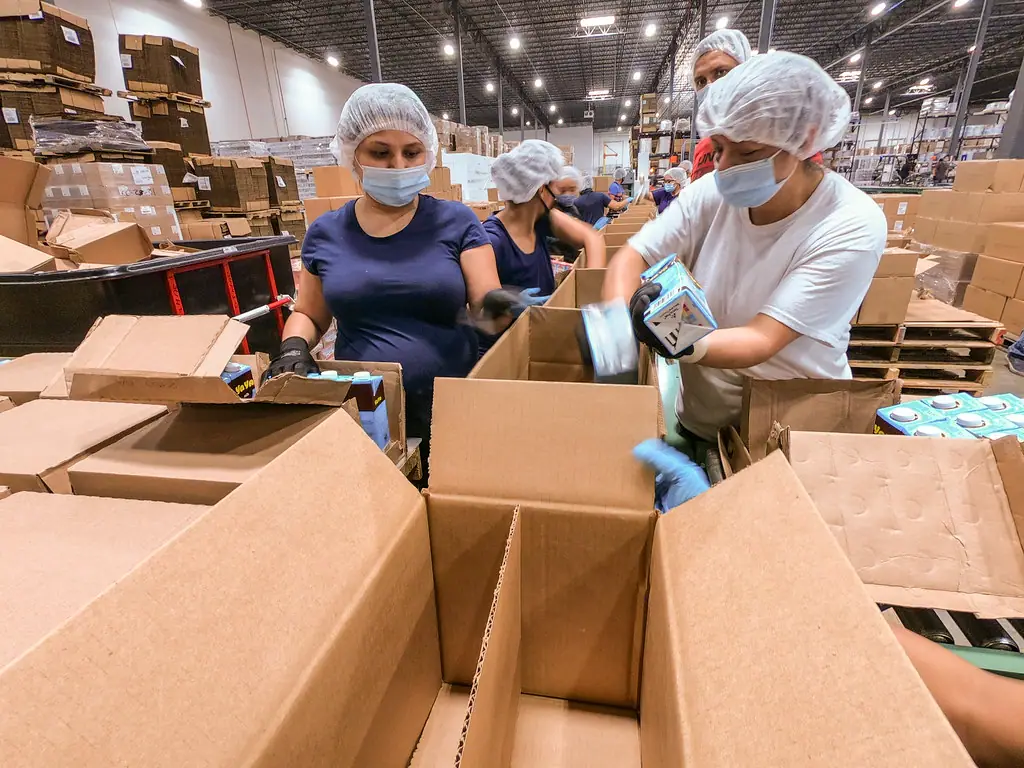 Workers folding and assembling corrugated cartons